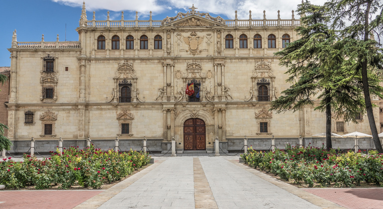 Alcalá de Henares Free Tour and the New World: the Footsteps of America, Spain