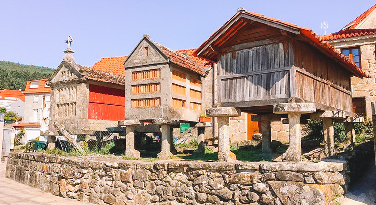 Rías Baixas: Sensory Experience in Boat and Winery, Spain