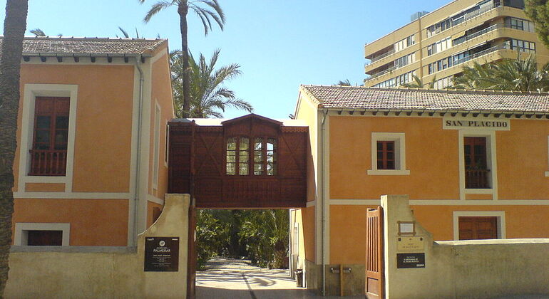 Elche Tour: Among Palm Trees and Culture, Spain