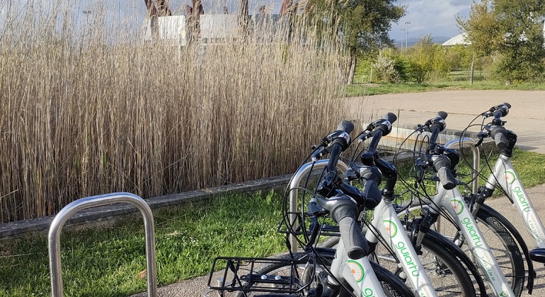 Discover Vitoria on two Wheels, Spain