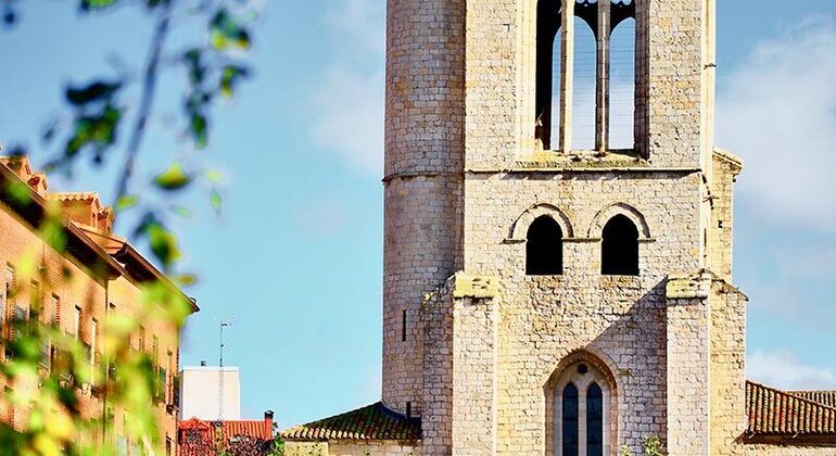 Palencia at Our Rhythm: Free Tour, Spain