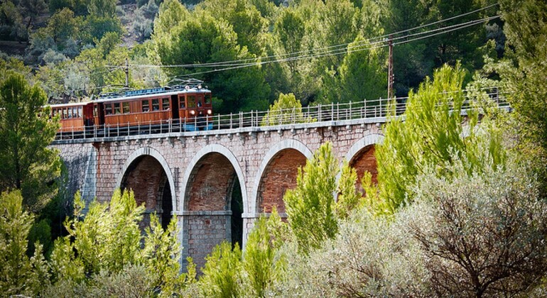 Excursion with El Tren De Soller + Lluc + Cap De Formentor, Spain