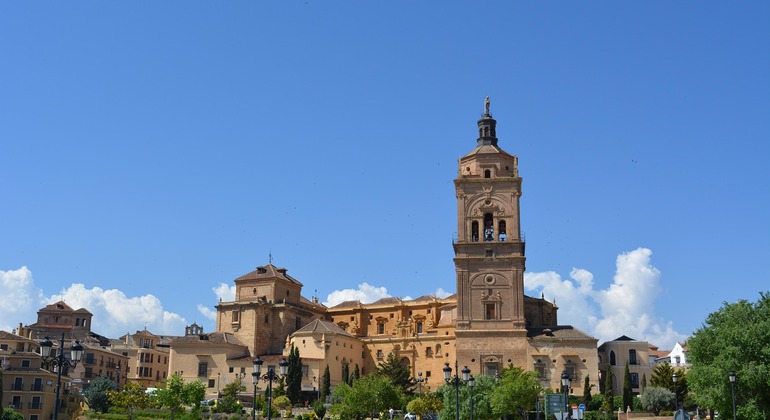 Explore Fossils and Deposits in the Granada Geopark, Spain