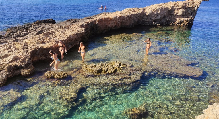 Palma de Mallorca: Free Tour by Locals in Hidden Coves, Spain