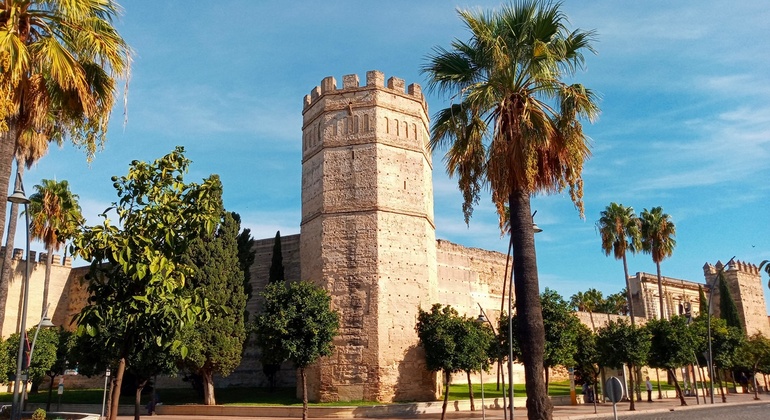 Free Historical Tour of Islamic Jerez to the Winery City, Spain