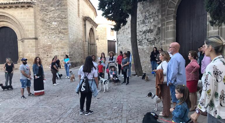Free Tour: Discovering Baeza, Spain