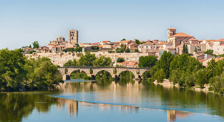 Free Tour Zamora Essential Free Tour: Everything You Can't Miss, Spain