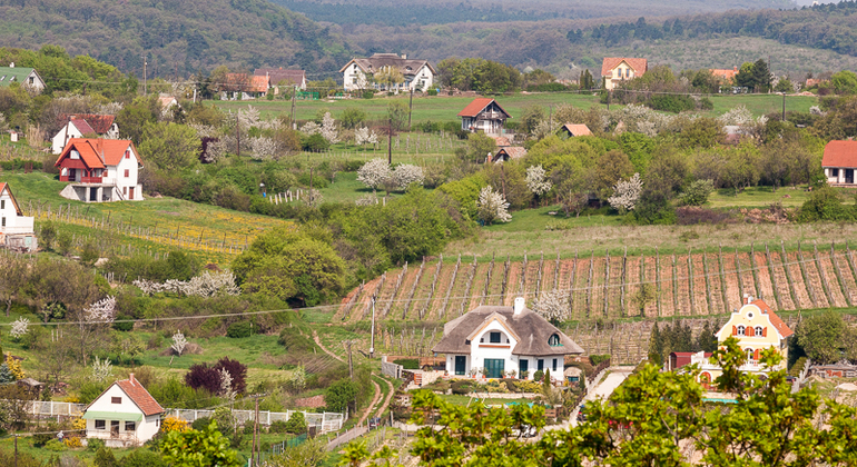 Guided Balaton Free Tour, Hungary