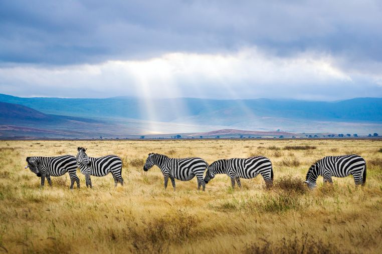 The 10 Essentials when Traveling to Tanzania