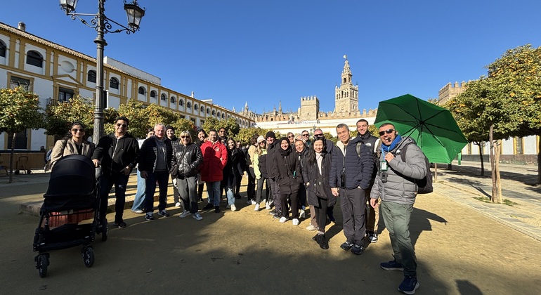 Best of Sevilla Free Tour, Spain