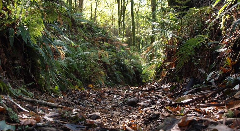 Paralaia Viewpoint Adventure, Spain