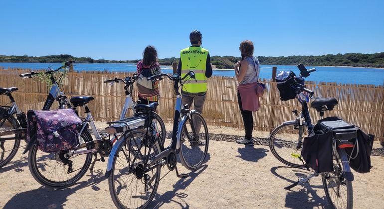 Free Bicycle Tour of the Albufera Lake of Valencia, Spain