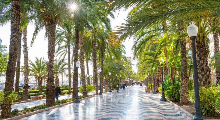 Free Tour Alicante: History and Tradition, Spain