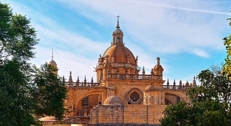 Monumental Tour, Flamenco Show & Dinner, Spain