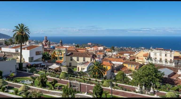 Visit to La Orotava Walking Tour, Spain