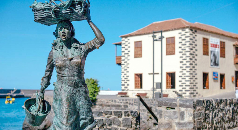 Visit to Puerto de la Cruz Walking Tour, Spain